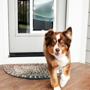 Glass door dog door